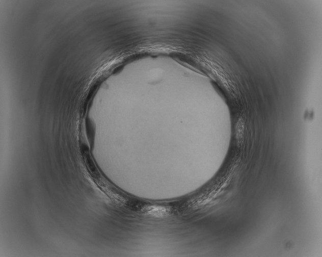 X0000094810352200712141627