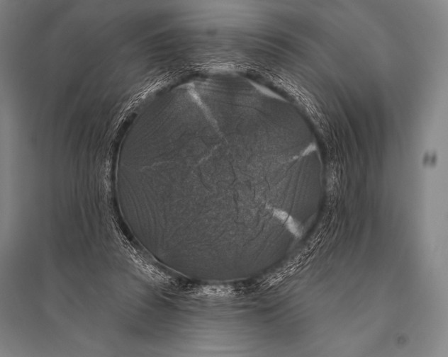 X0000094810353200712141627