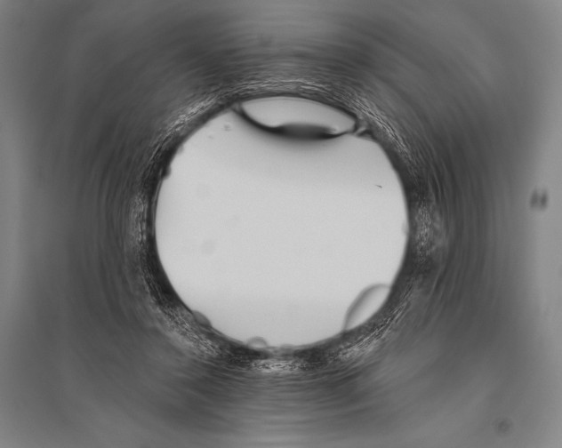 X0000094810356200712141627