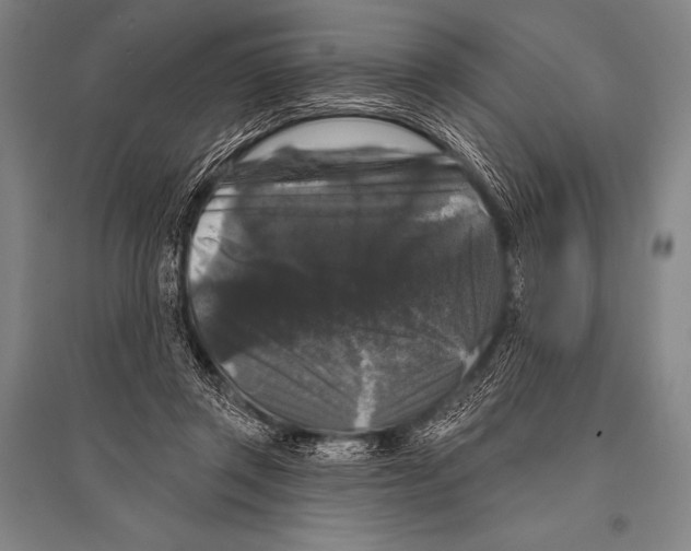 X0000094810357200712141627