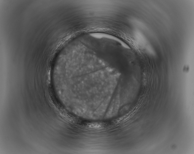 X0000094810358200712141627