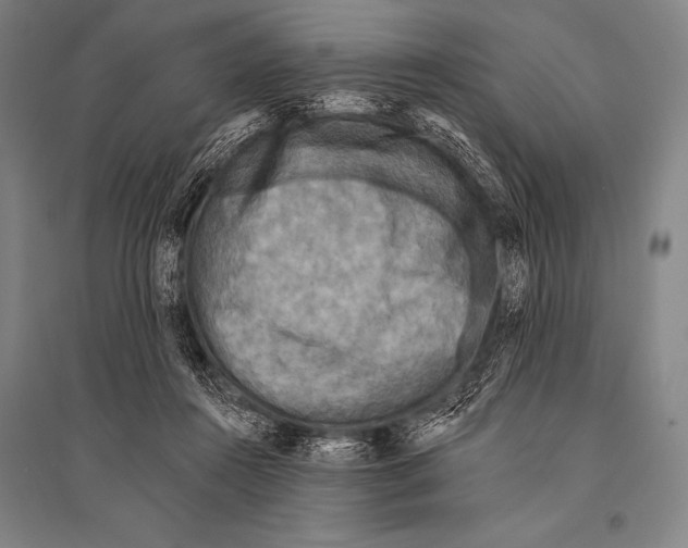 X0000094810360200712141627