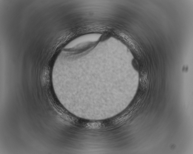 X0000094810362200712141627