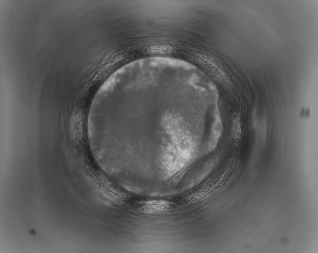 X0000094810363200712141627