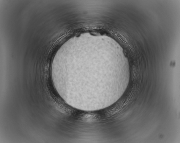 X0000094810364200712141627