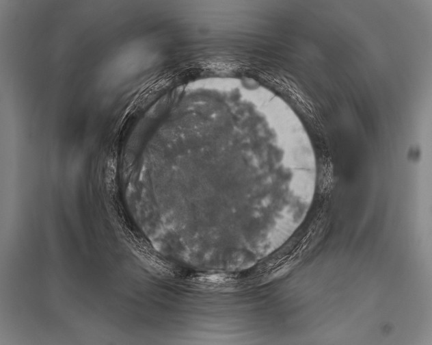 X0000094810365200712141627