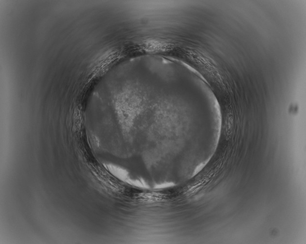 X0000094810367200712141627