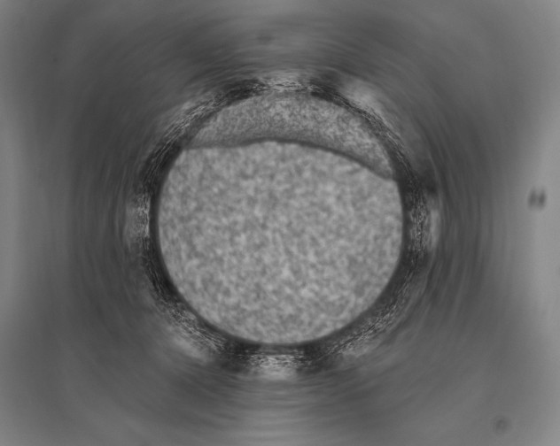 X0000094810368200712141627