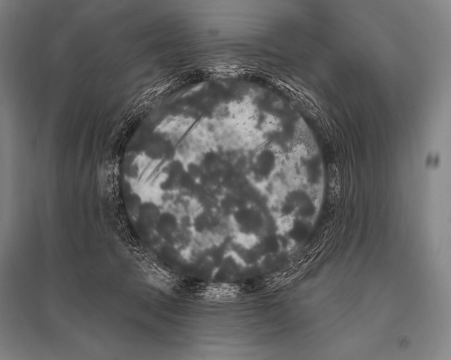 X0000094810369200712141627