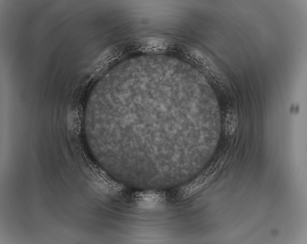 X0000094810370200712141627