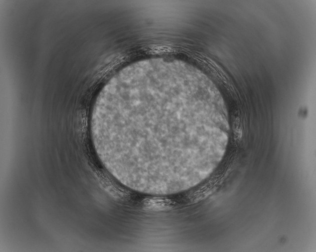 X0000094810372200712141627