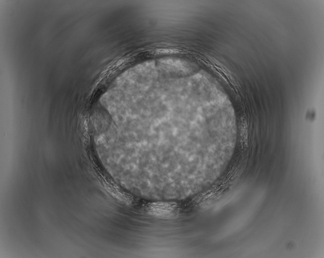 X0000094810373200712141627