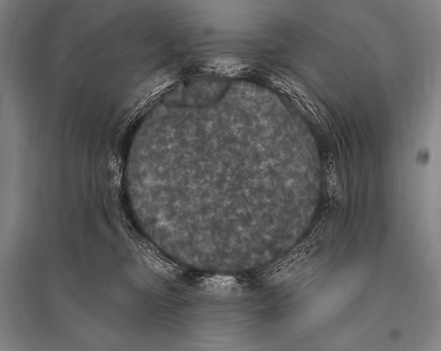 X0000094810374200712141627