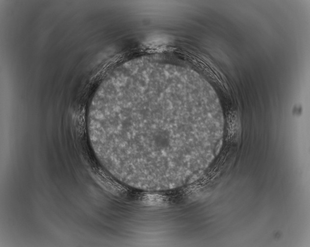 X0000094810376200712141627