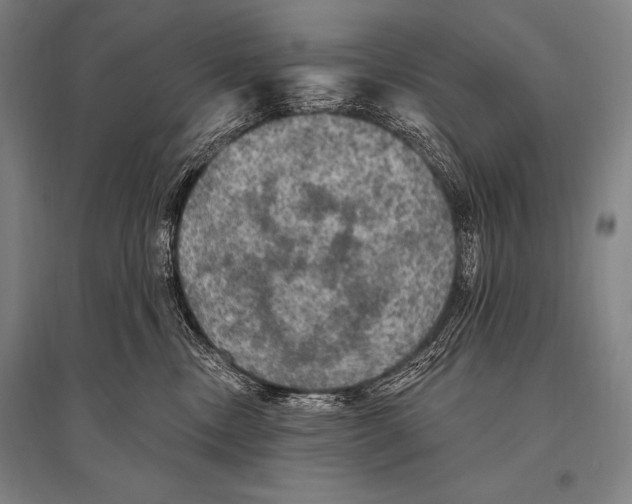 X0000094810378200712141627