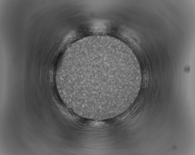 X0000094810379200712141627