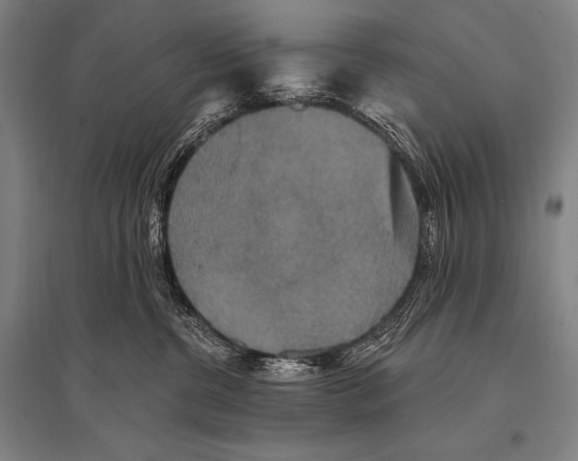 X0000094810380200712141627