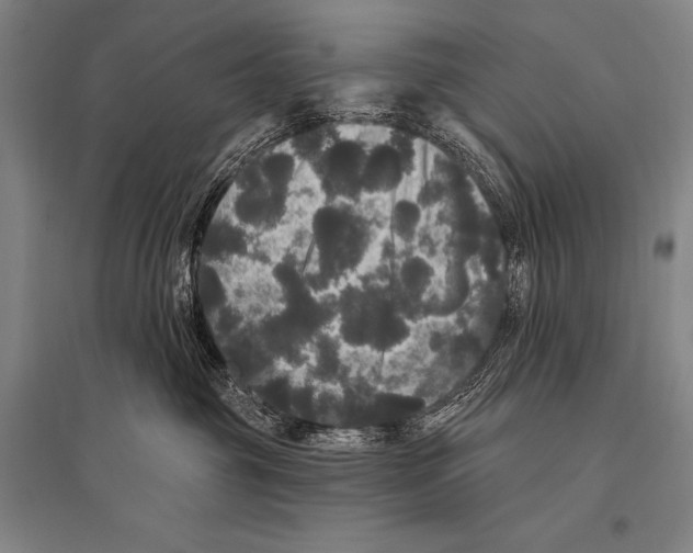 X0000094810381200712141627