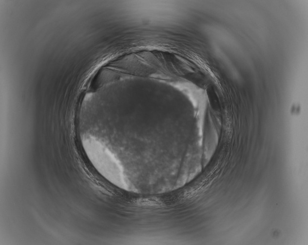 X0000094810386200712141627