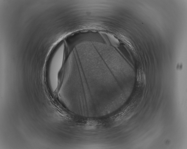 X0000094810388200712141627