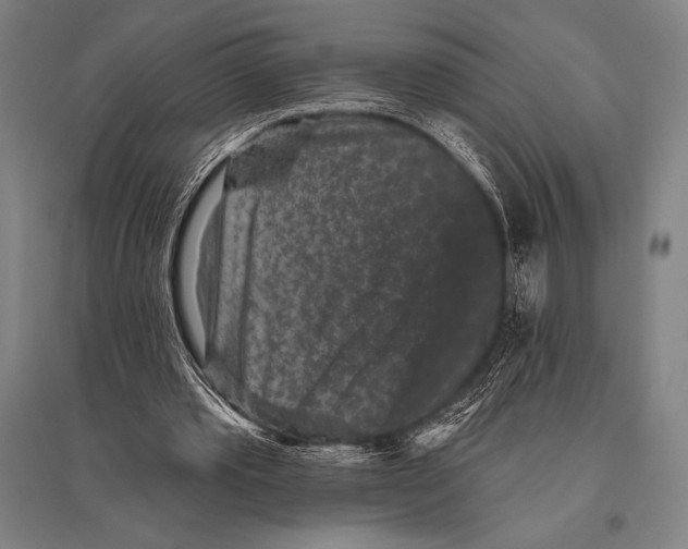 X0000094810389200712141627