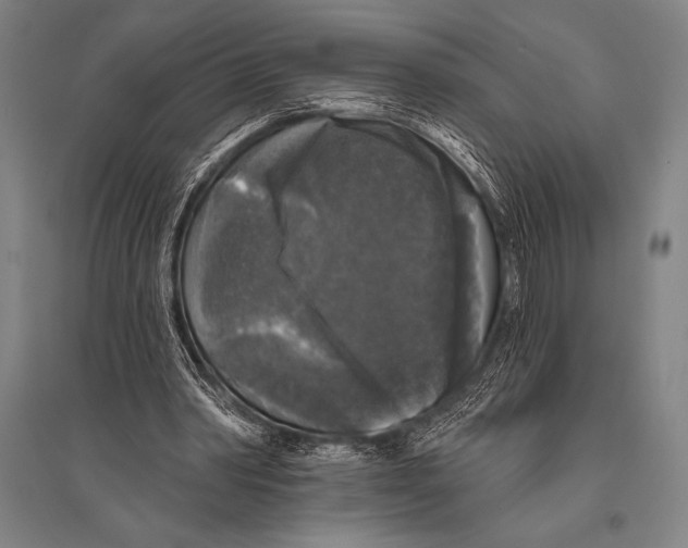 X0000094810390200712141627