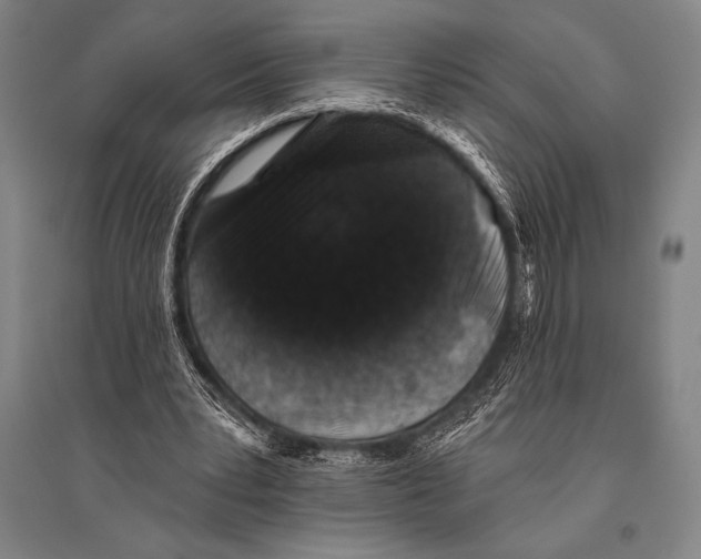 X0000094810391200712141627