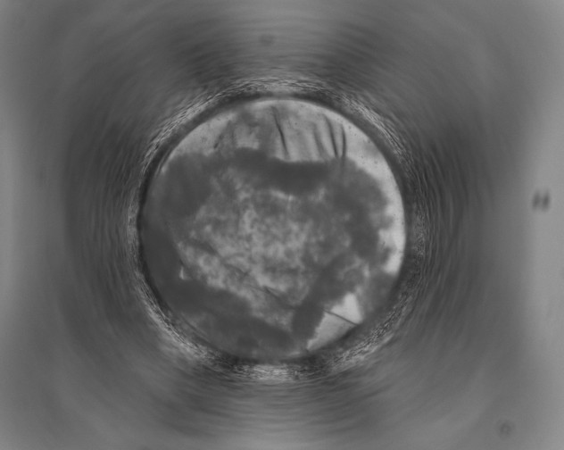 X0000094810394200712141627