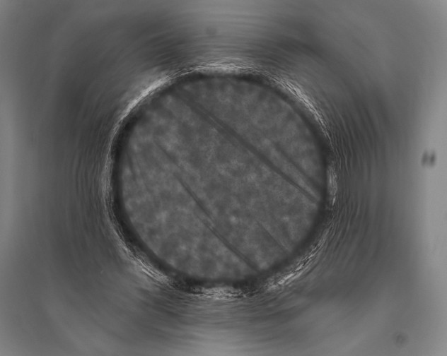 X0000094810396200712141627