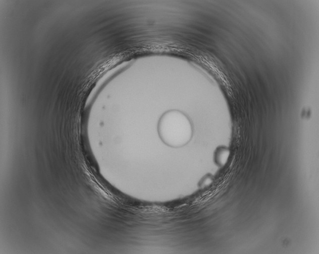 X0000094810397200712141627