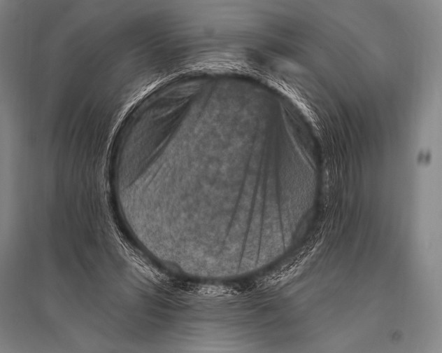 X0000094810399200712141627