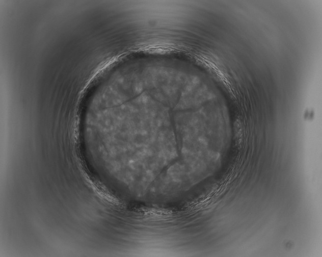 X0000094810400200712141627