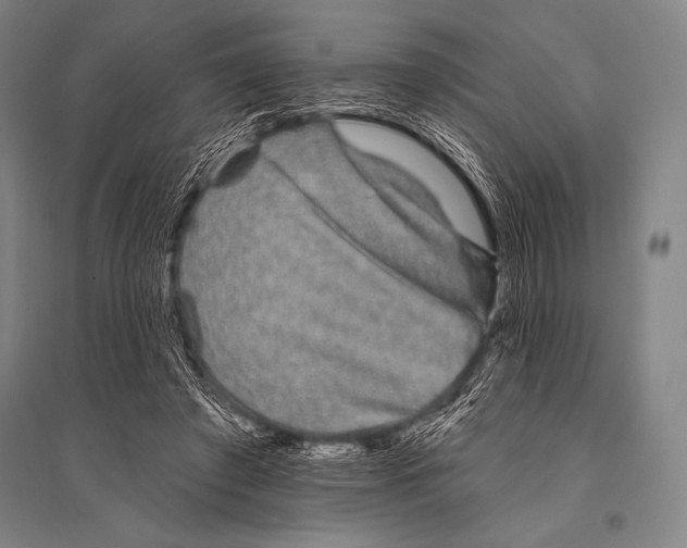 X0000094810401200712141627