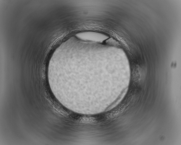 X0000094810403200712141627