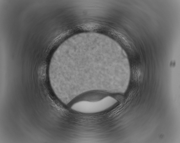 X0000094810404200712141627