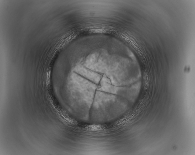 X0000094810406200712141627