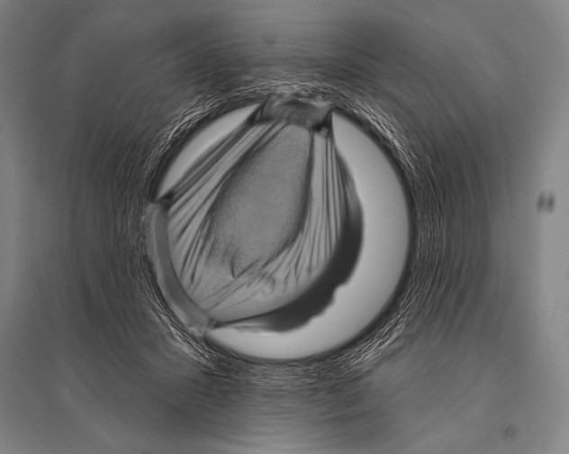 X0000094810407200712141627