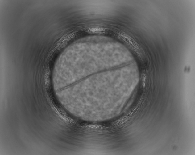 X0000094810408200712141627