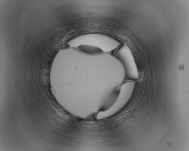 X0000094810409200712141627