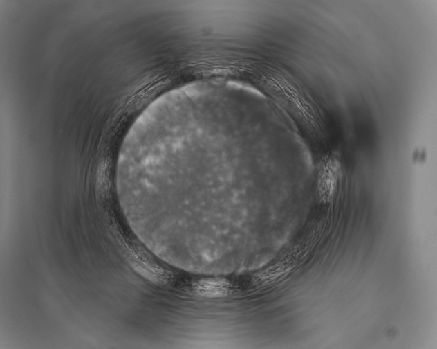 X0000094810410200712141627