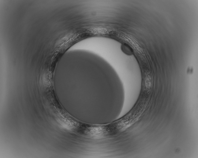 X0000094810411200712141626