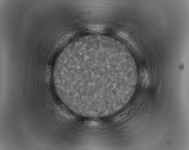 X0000094810412200712141626