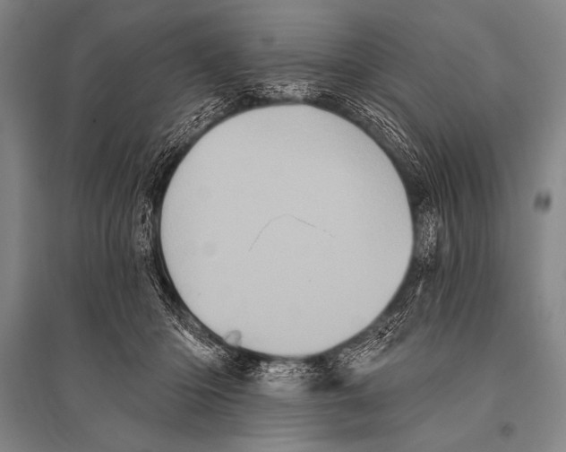 X0000094810414200712141626