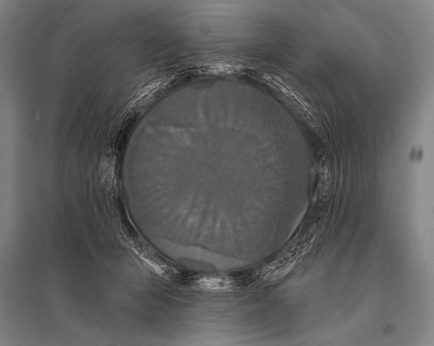 X0000094810415200712141626