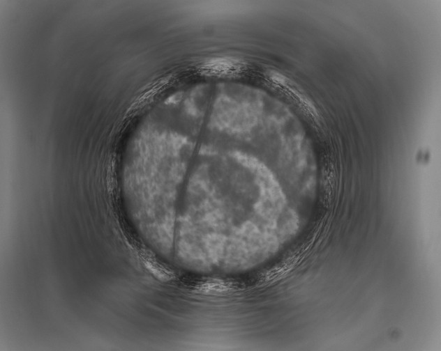 X0000094810416200712141626