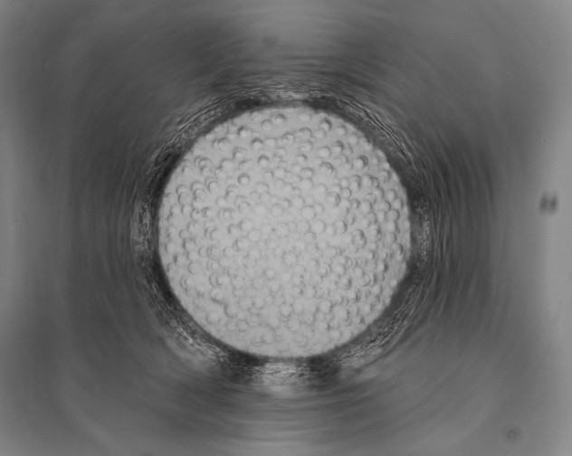 X0000094810418200712141626