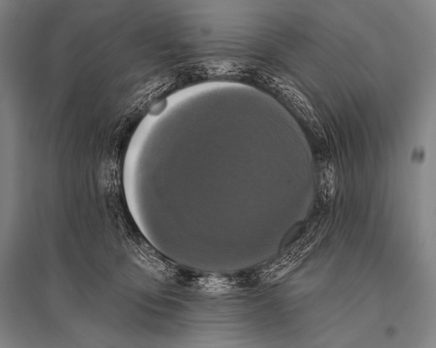 X0000094810419200712141626