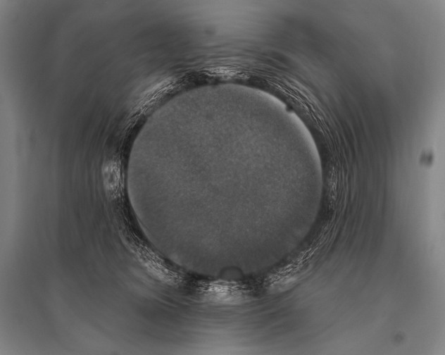 X0000094810420200712141626