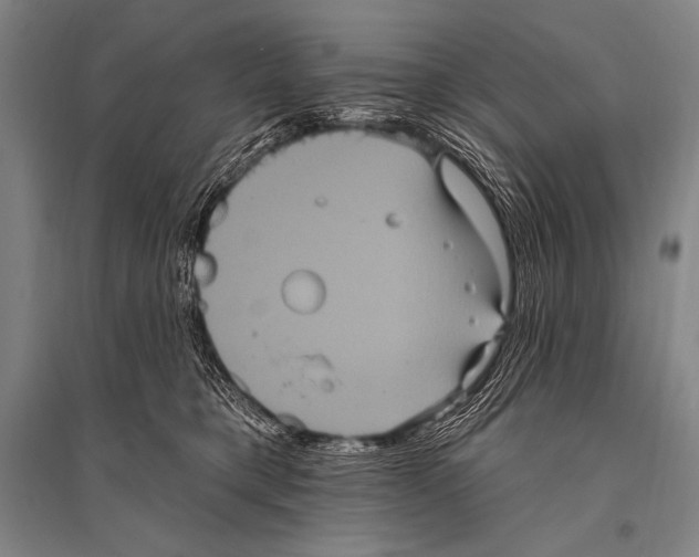 X0000094810421200712141626