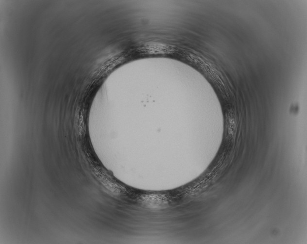 X0000094810422200712141626